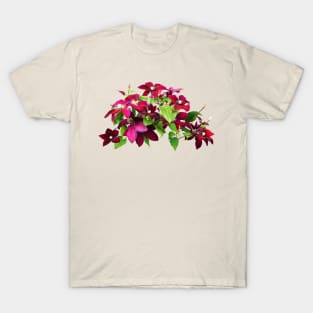Magenta Clematis With Vine T-Shirt